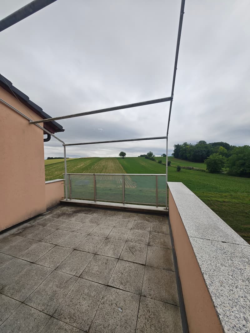 Maison mitoyenne à fort potentiel avec terrasse, jardin et garage (1)
