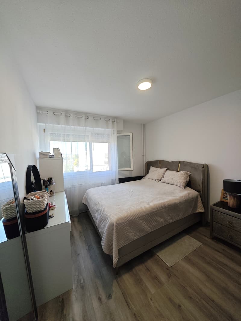 Coup de coeur assuré :  appartement 3 pièces rénové avec balcon proche de la frontière Suisse (3)