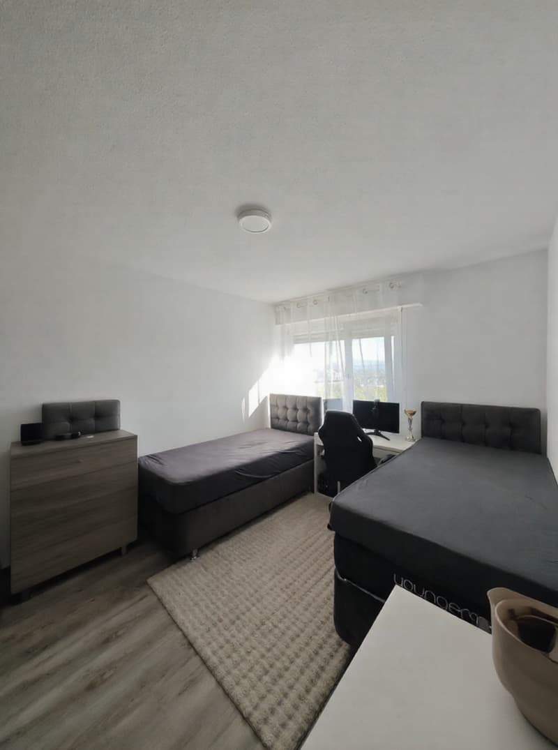 Coup de coeur assuré :  appartement 3 pièces rénové avec balcon proche de la frontière Suisse (4)