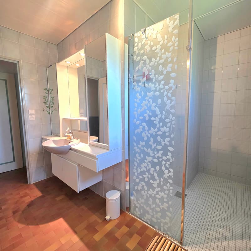 Maison de plain-pied dans un cadre verdoyant exceptionnel de 31 ares (6)
