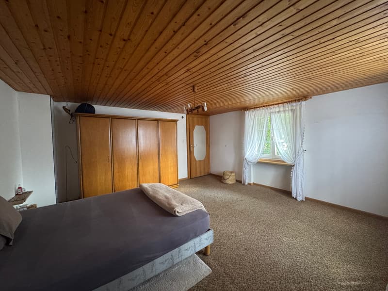 maison 5 pièces sur une beau terrain de 8.29 ares (7)