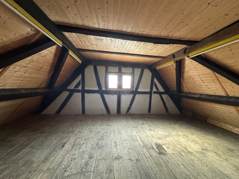 maison 5 pièces sur une beau terrain de 8.29 ares (10)