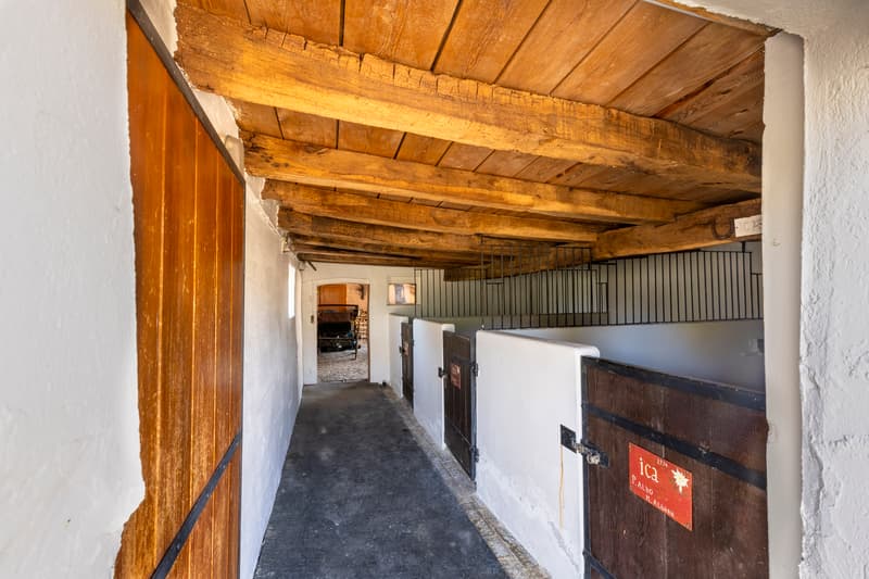 Rare : Maison authentique de 233m² (5)