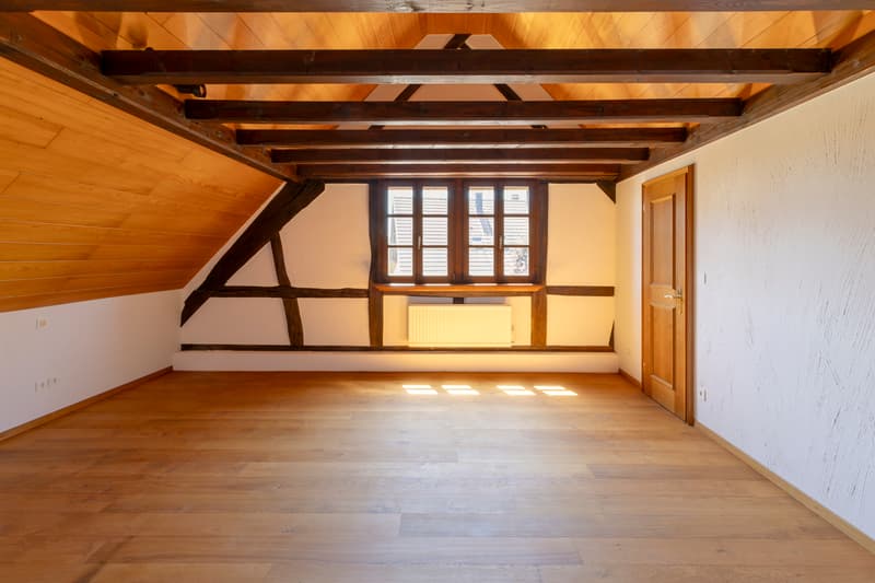 Rare : Maison authentique de 233m² (3)