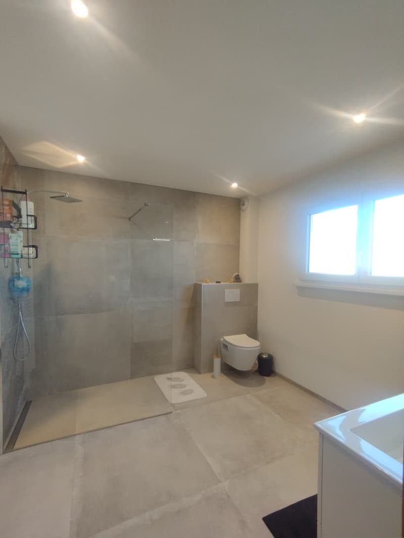 Maison contemporaine proche de la frontière Suisse (9)