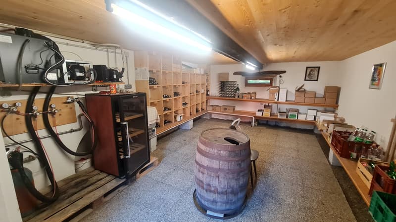 Vente fonds de commerce de restaurant à Courtavon (8)