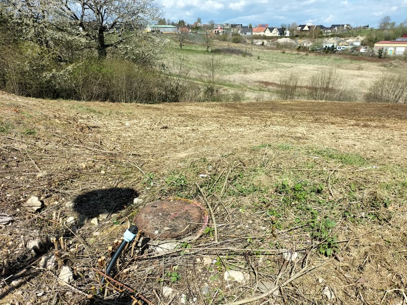 Terrain à Bâtir à Ferrette (3)