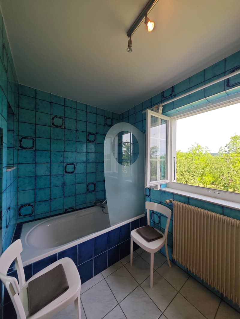 Propriété de charme de 7 pièces avec piscine et dépendance aménageable proche de la frontière Suisse (13)
