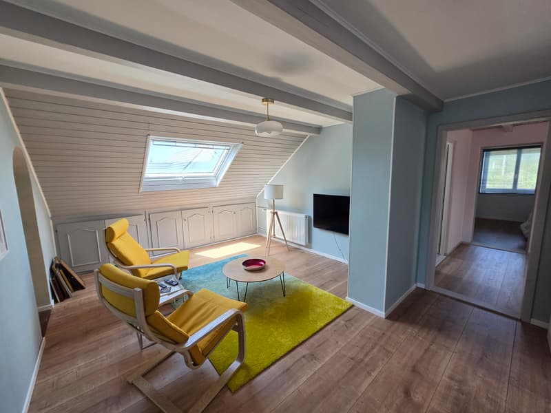 Spacieuse maison rénovée avec 5 chambres sur 18 ares (12)