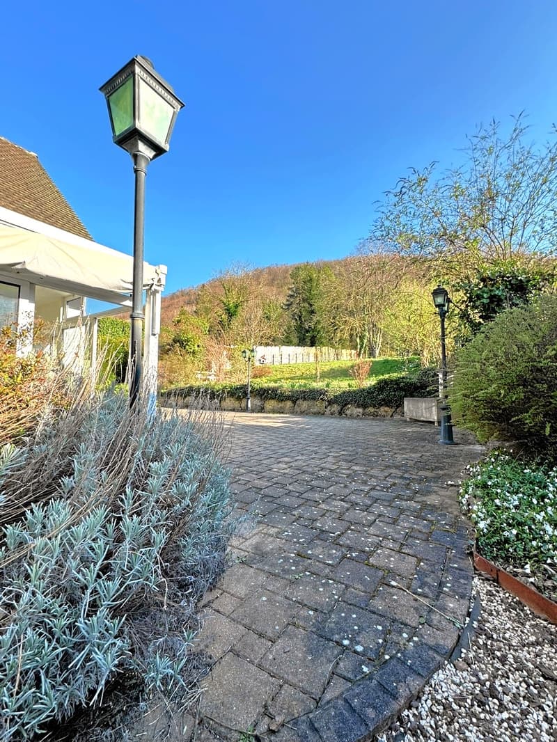 Maison d'Architecte de 218 m² dans un écrin de Verdure (4)
