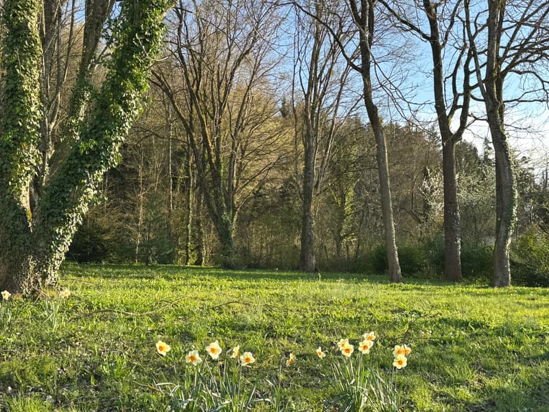 Maison d'Architecte de 218 m² dans un écrin de Verdure (3)