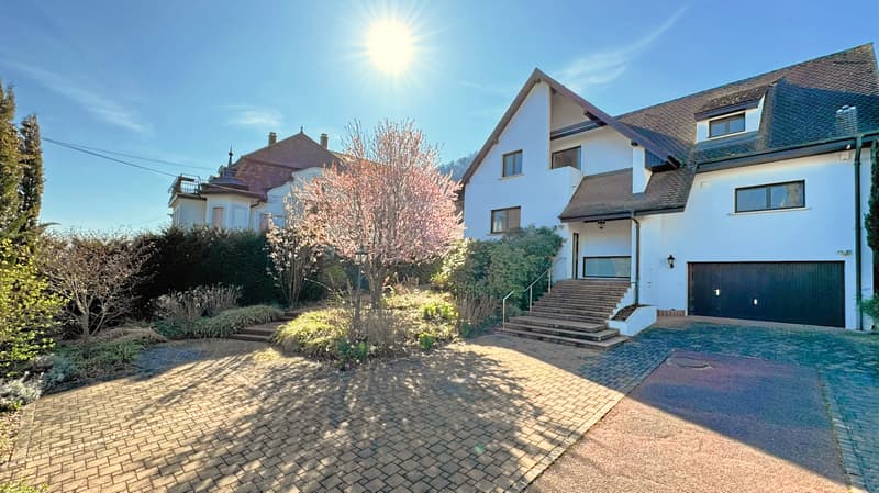 Maison d'Architecte de 218 m² dans un écrin de Verdure (6)
