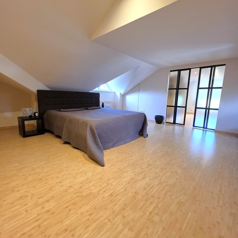 Maison familiale et conviviale aux volumes exceptionnels (10)