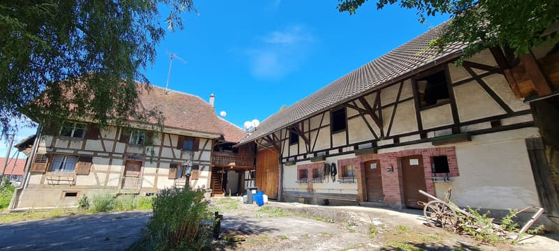Ferme avec dépendances et hangar (3)