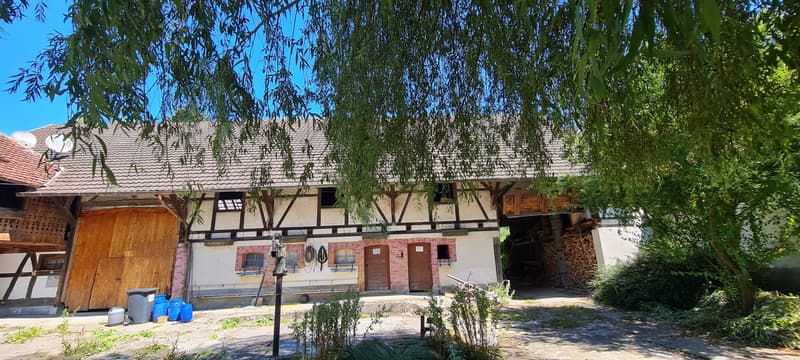 Ferme avec dépendances et hangar (4)