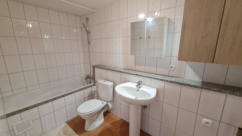 Triplex avec jardin (7)