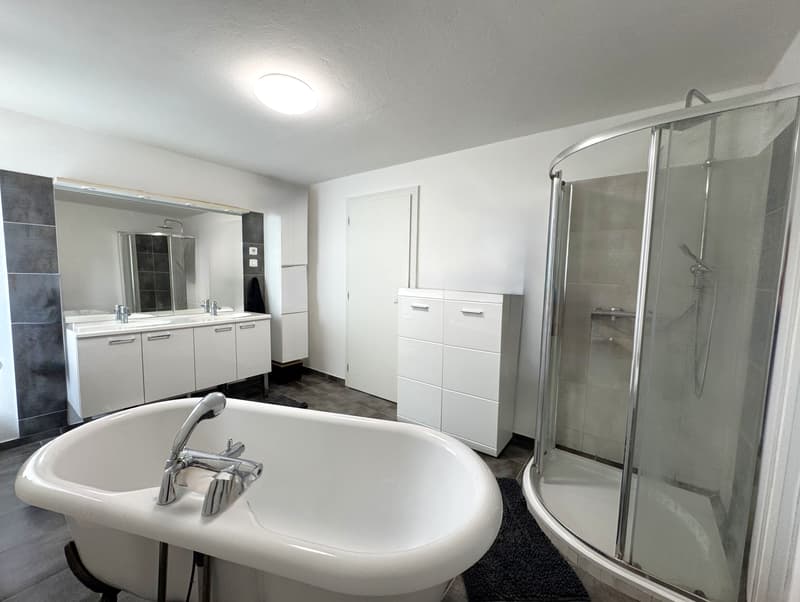 Spacieuse maison familiale de 153 m² sur un terrain de 10,81 ares, aux portes de la Suisse (7)