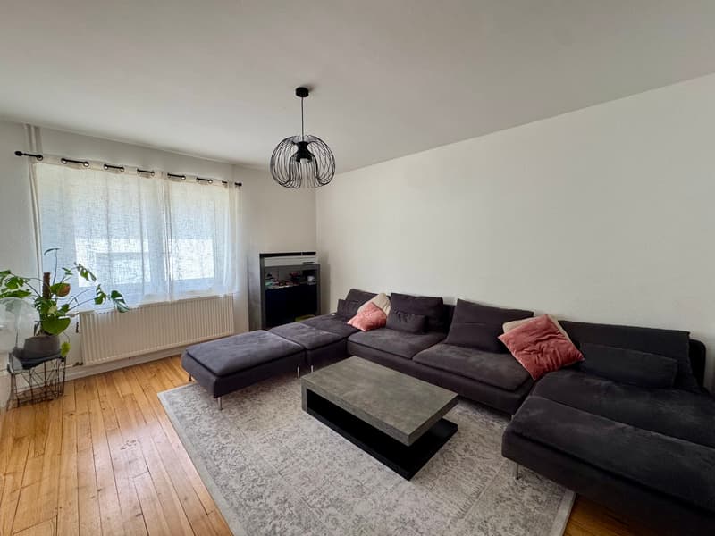 Spacieuse maison familiale de 153 m² sur un terrain de 10,81 ares, aux portes de la Suisse (3)