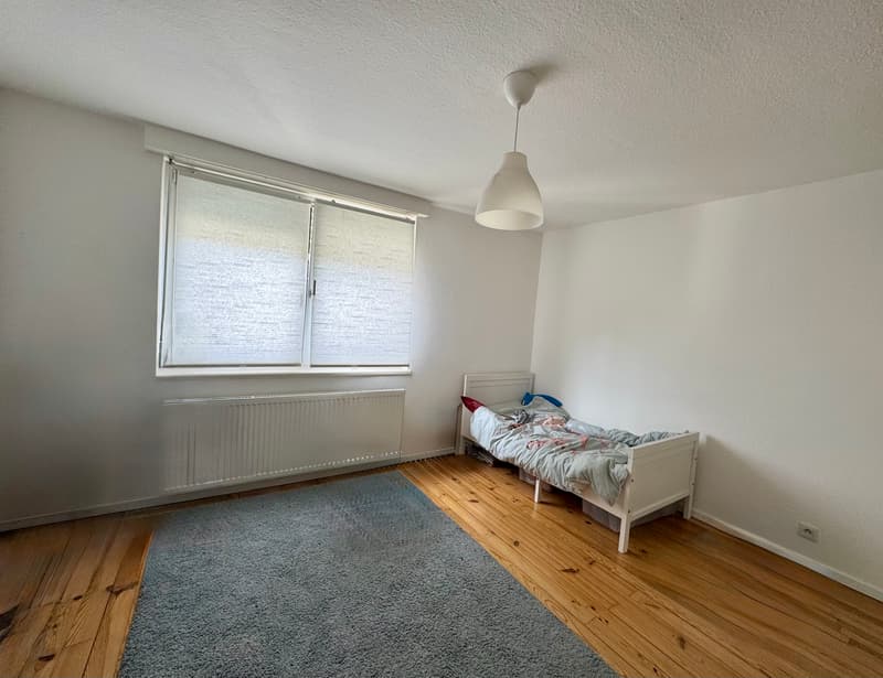 Spacieuse maison familiale de 153 m² sur un terrain de 10,81 ares, aux portes de la Suisse (5)