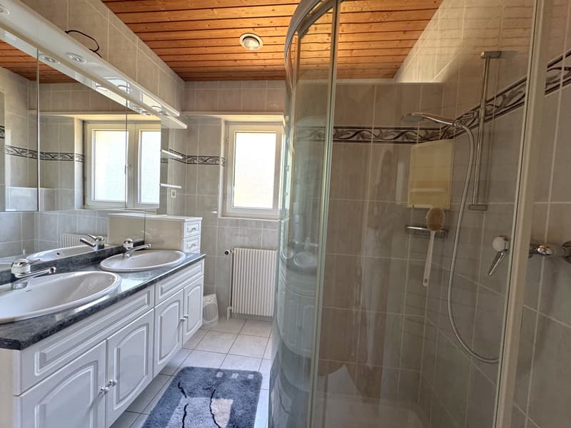 Maison familiale à fort potentiel 156 m² avec grand terrain et vue dégagée (11)