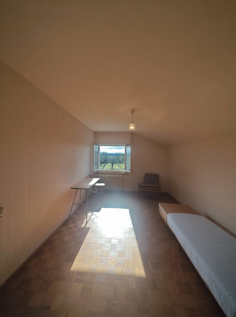 Maison familiale 5 chambres avec grand garage et jardin   Proche frontière suisse (11)