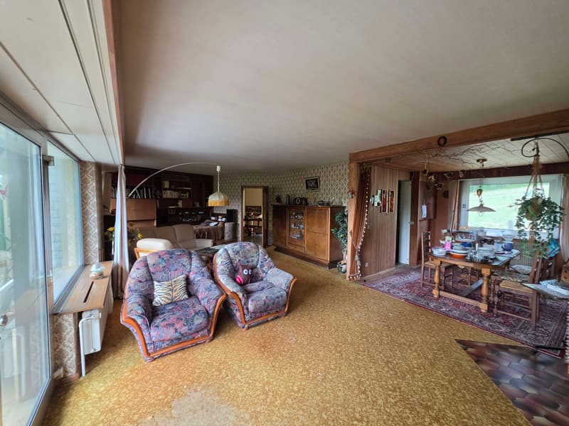 Grande maison sur 9,37 ares (5)