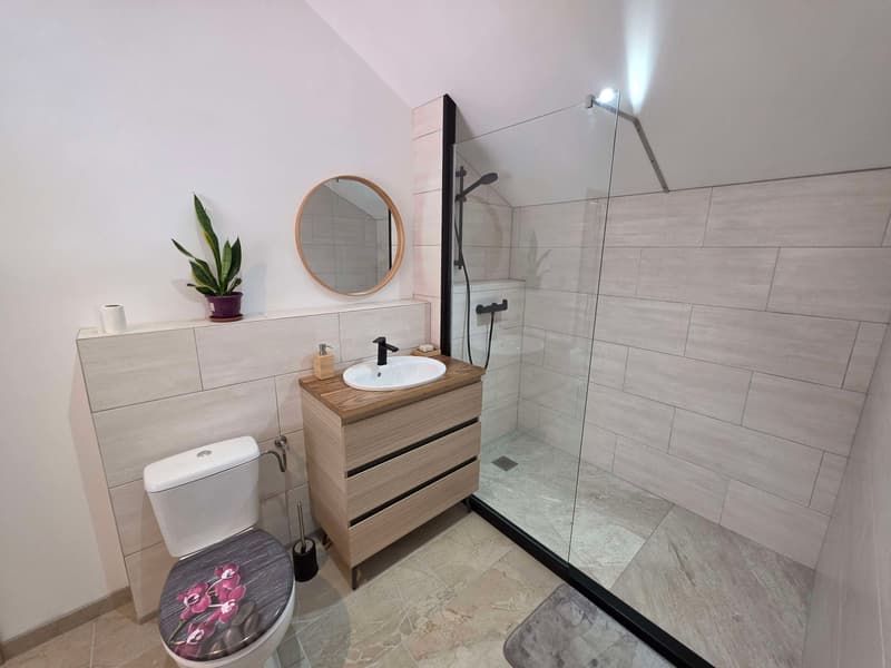 Illtal, Maison alsacienne rénovée 5 pièces (9)