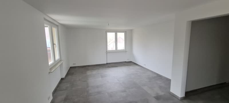F3 rénové avec garage (3)