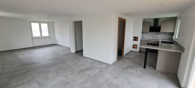 F3 rénové avec garage (1)