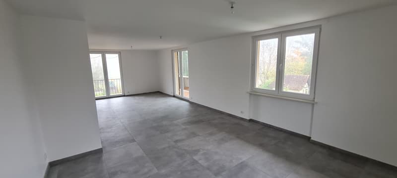 F3 rénové avec garage (4)