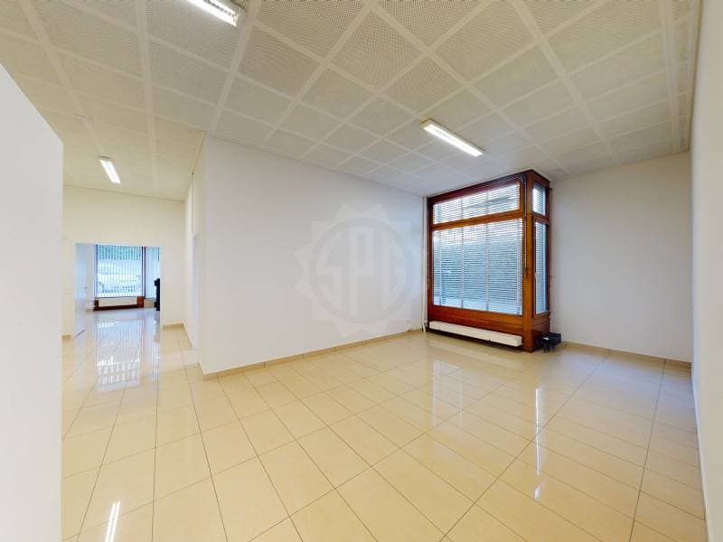 Beaux bureaux - Genève (9)