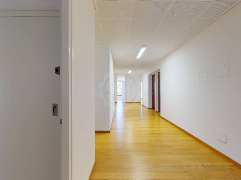Grands bureaux - Genève (10)