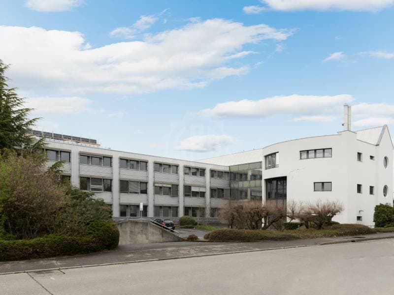 Surface Industrielle exceptionnelle - Meyrin (1)