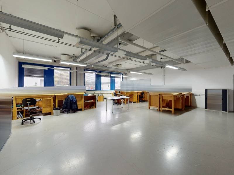 Surface Industrielle exceptionnelle - Meyrin (5)