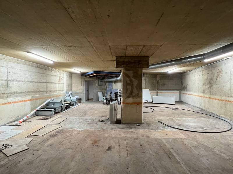 Beau dépôt - Genève (4)