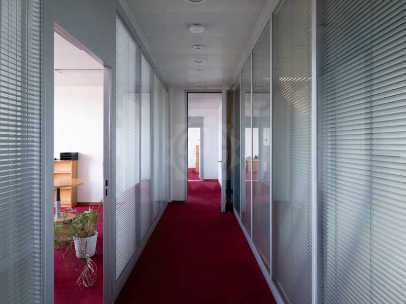 Beaux bureaux - Le Grand-Saconnex (3)