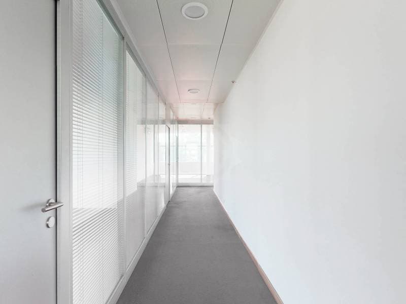 Grands bureaux - Le Grand-Saconnex (3)