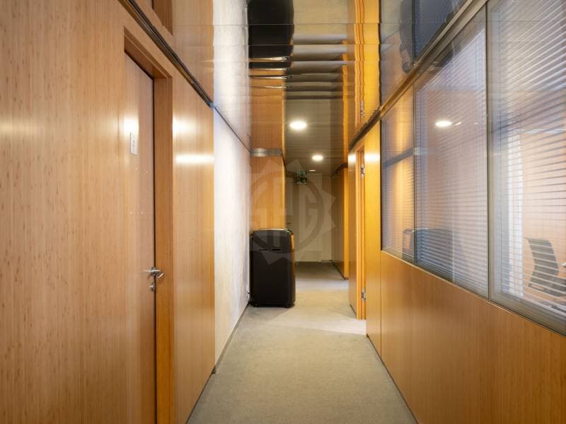 Bureaux spacieux - Genève (7)