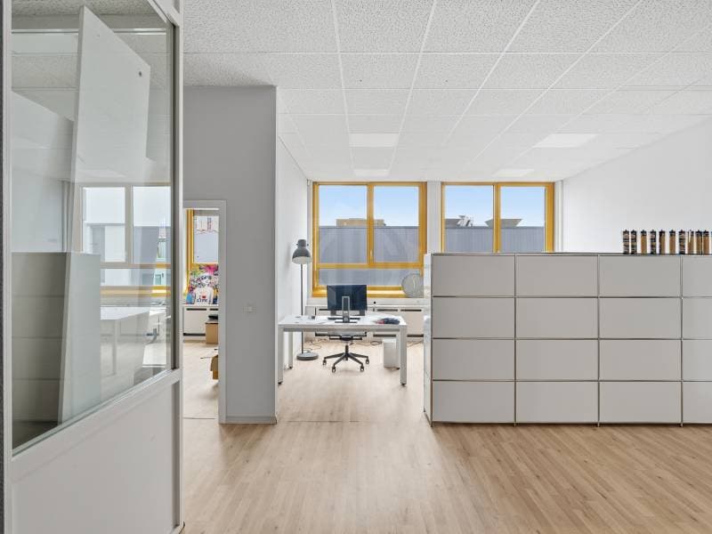 Beaux bureaux - Carouge GE (9)