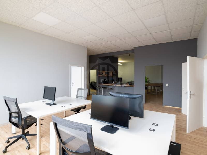 Beaux bureaux - Carouge GE (7)
