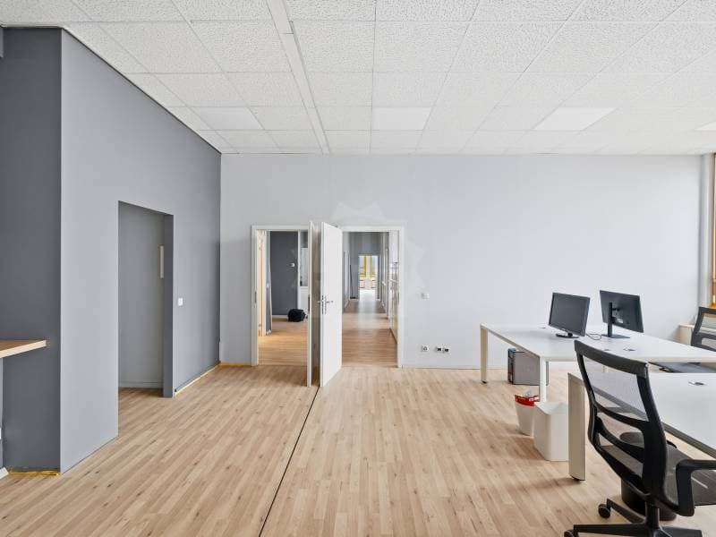 Beaux bureaux - Carouge GE (6)