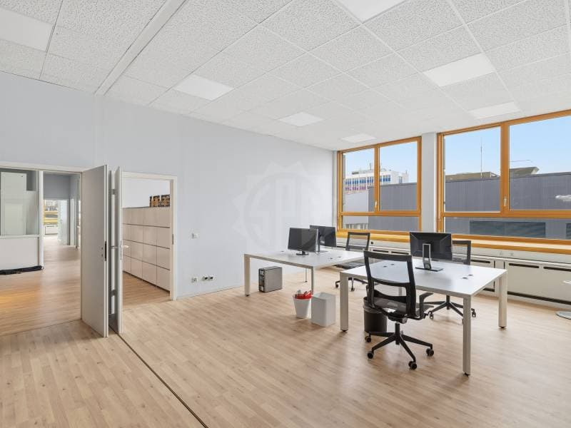 Beaux bureaux - Carouge GE (5)