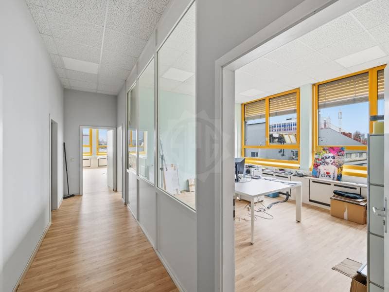 Beaux bureaux - Carouge GE (11)