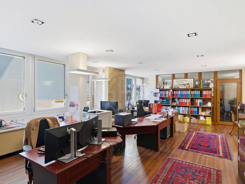 Ravissants bureaux - Genève (12)