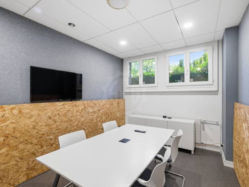 Belle bureaux - Petit-Lancy (7)