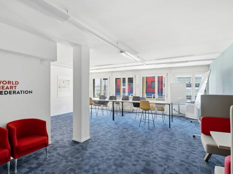 Bureaux agréable - Genève (6)