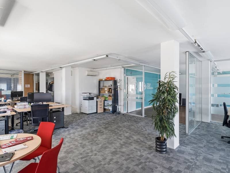 Bureaux agréable - Genève (4)