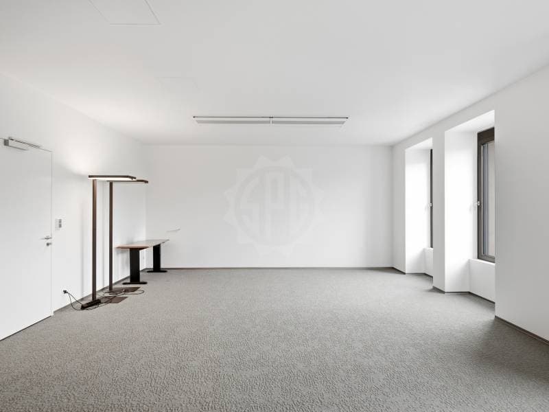 Bureaux prestigieux - Genève (7)