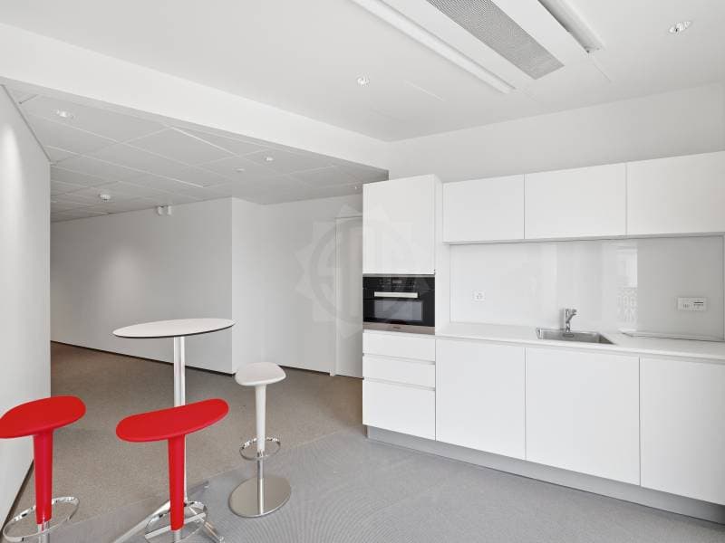 Bureaux prestigieux - Genève (10)