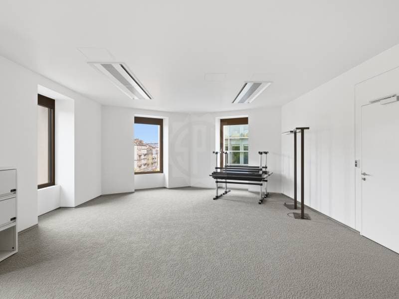 Bureaux prestigieux - Genève (4)